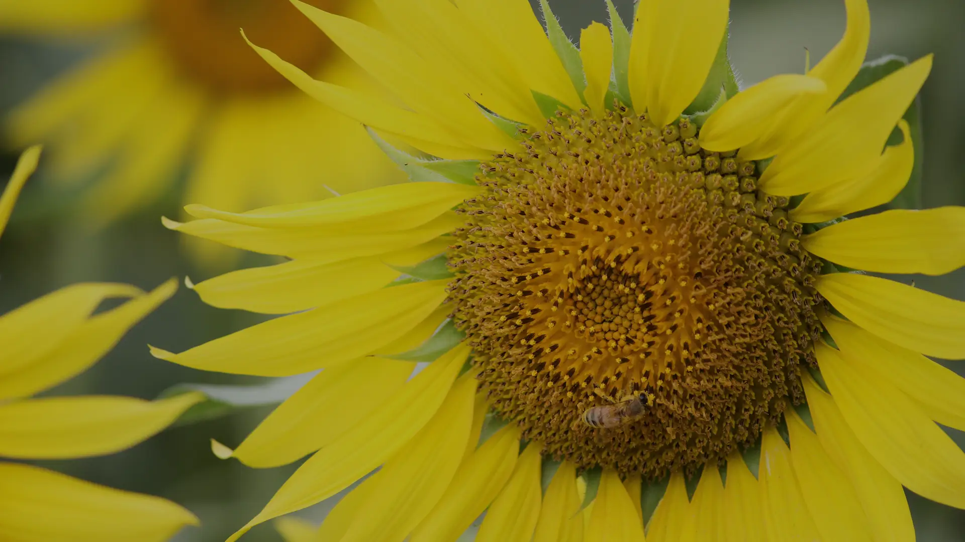 人に優しく、地球に優しい精神で地域を守ります